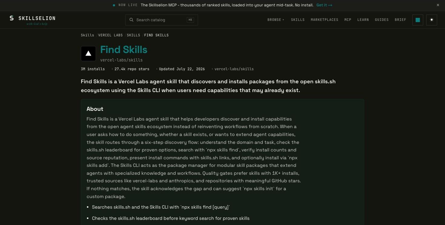 Detailansicht einer Skill bei Skillselion mit Installationen, Sternen und Aktualisierungsdatum